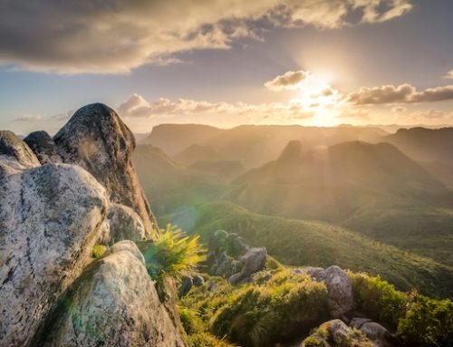 WATCH: King Charles reads ‘God’s Grandeur’ by Gerard Manley Hopkins