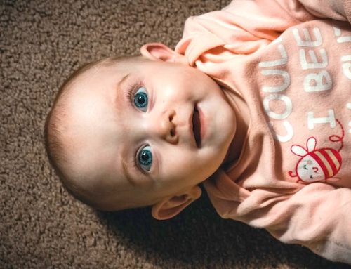 ‘Radical amazement’: Homily for October 6, 2024, 27th Sunday in Ordinary Time