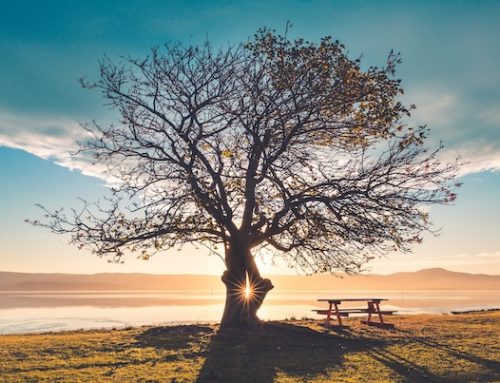 Words for a Wednesday morning: ‘We need to see the light of hope’