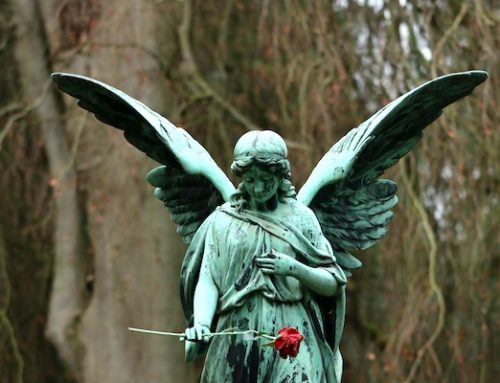 ‘Turning sorrows into joy’: Diocese of Columbus re-establishes Order of Widows