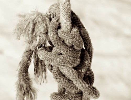 Tangled: Homily for January 1, 2025, Solemnity of Mary the Mother of God