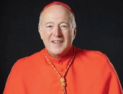 Washington’s Cardinal McElroy diagnosed with cancer