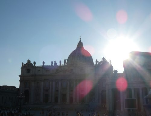 Pilgrims of Hope: Seeing doors, nails, thorns…and a cardinal