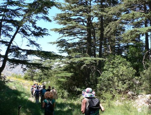 A ‘camino’ in Lebanon?