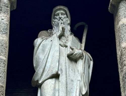 Homily for May 11, 2025, 4th Sunday of Easter: Listen up