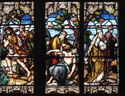 Go and do likewise: Homily for July 13, 2025, 15th Sunday in Ordinary Time