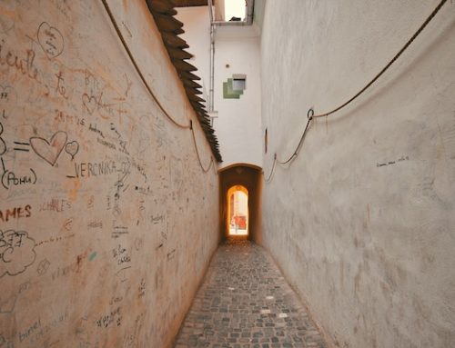 Entering through the narrow gate: Homily for August 24, 2025, 21st Sunday in Ordinary Time