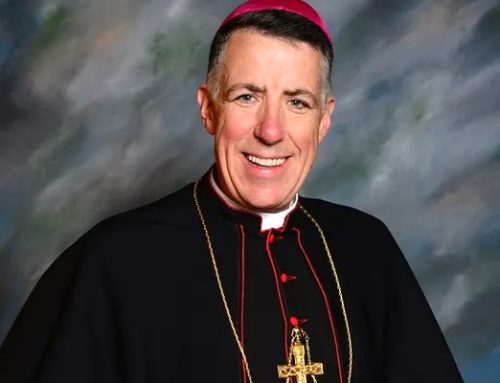 Pope Leo moves Bishop Checchio to New Orleans