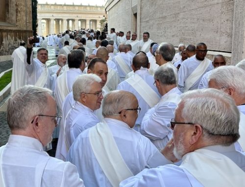 ‘I tell the deacons, I hope you are aware of what a wonderful reality you are for the Church’