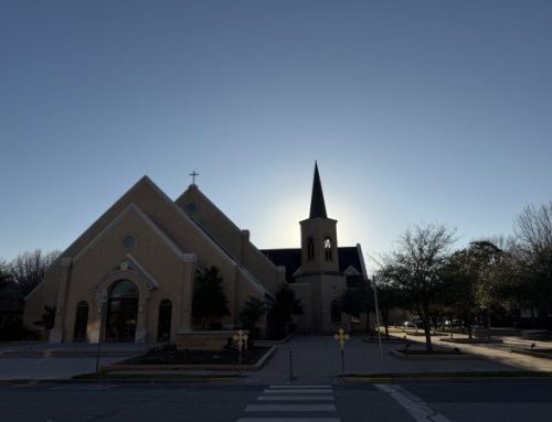 The most beautiful words I’ve heard