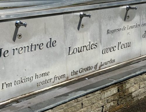 France 2026: The waters of Lourdes