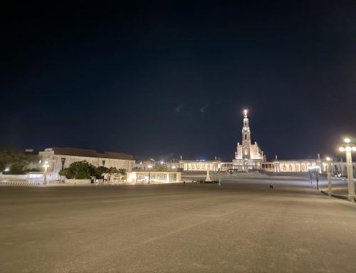 France 2026: Heading home — and learning some lessons