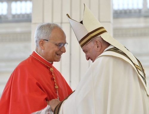 Pope Francis on Cardinal Prevost: ‘He’s a saint’