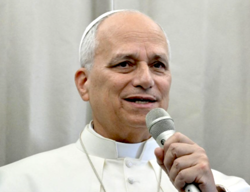 Pope Leo to journalists: I’m not in Africa to debate Trump