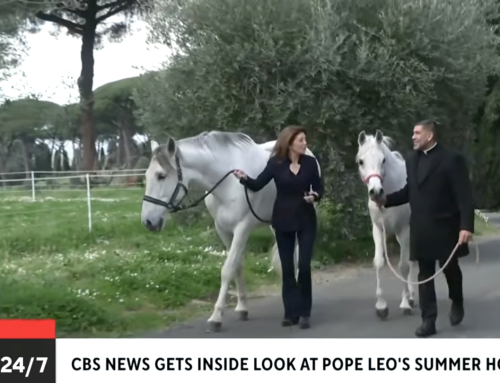 WATCH: Visiting Castel Gandolfo — and meeting the pope’s own horse