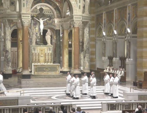 Ordination update: 9 new deacons for St. Louis