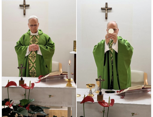 First images of Pope Leo after surgery